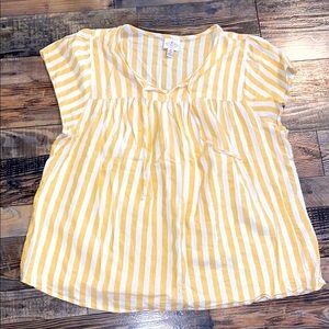St John’s Bay light striped top size 2X
